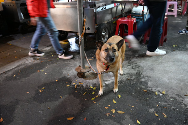 小島三幸 Miyuki Ojima「時々刻々 -台北-_2」