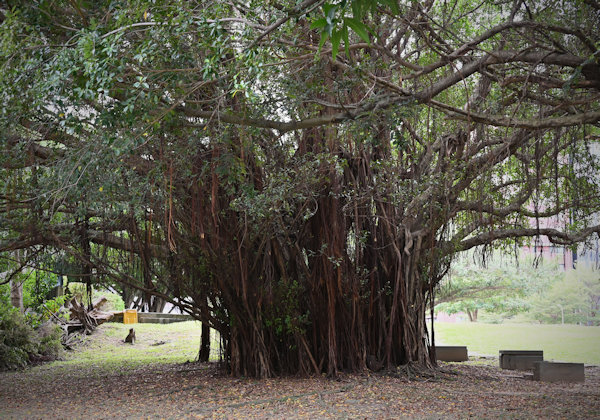 小島三幸 Miyuki Ojima「時々刻々 -台北-_3」