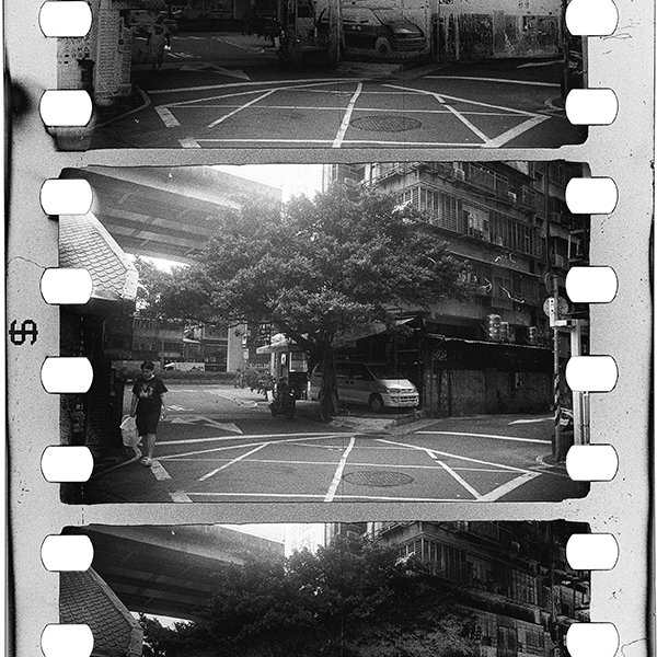 RED Photo Gallery 企画展<br />小松透 Toru Komatsu「still life_3」