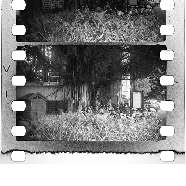 RED Photo Gallery 企画展<br />小松透 Toru Komatsu「still life_4」