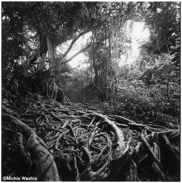 鎌田篤慎 Shigenori Kamata<br />木村英一郎 Eiichiro Kimura<br />ハワード・ワイツマン Howard Weitzman<br />鷲尾倫夫 Michio Washio「RED Photo Gallery 10周年記念 メンバー展<br />2nd WEEK_4」