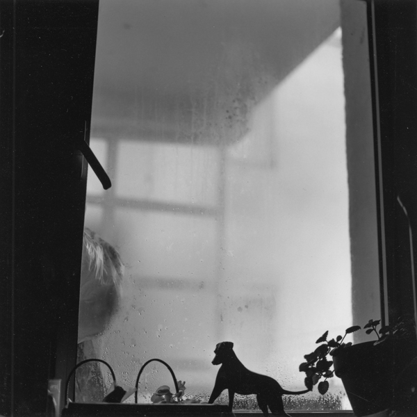 リカルド・ガリード<br />Ricardo Garrido「RED Photo Gallery 10周年記念展<br />新メンバー紹介展<br />Windows_2」