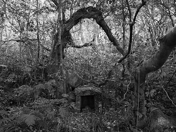 高橋和孝 Kazutaka Takahashi「かむなび_1」